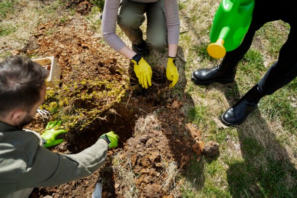 Servicio de Preparación del Terreno